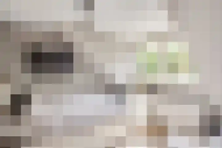 Vale Ouwelaan 162 't Harde thumbnail 32