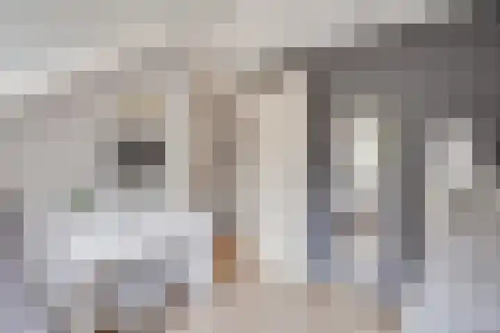 Vale Ouwelaan 162 't Harde thumbnail 33