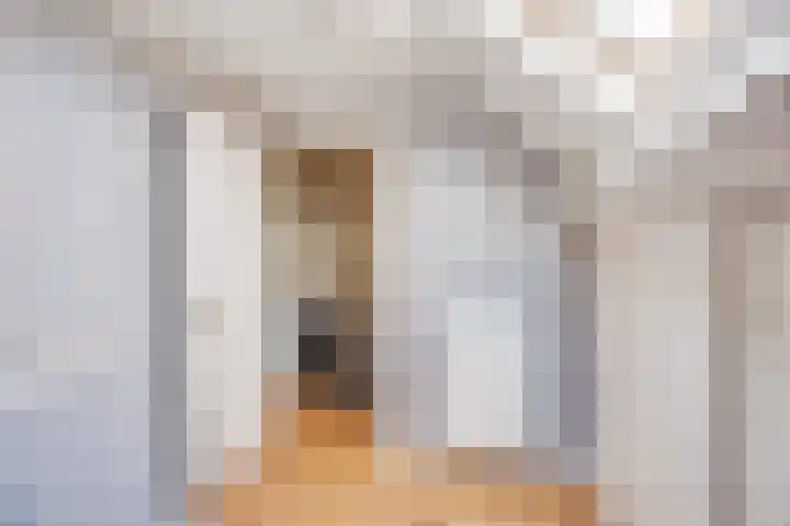 Vale Ouwelaan 162 't Harde thumbnail 35
