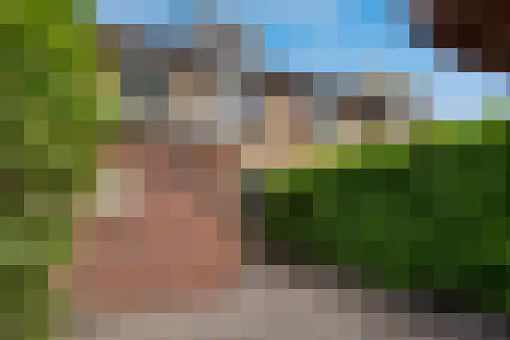 Vale Ouwelaan 162 't Harde thumbnail 39