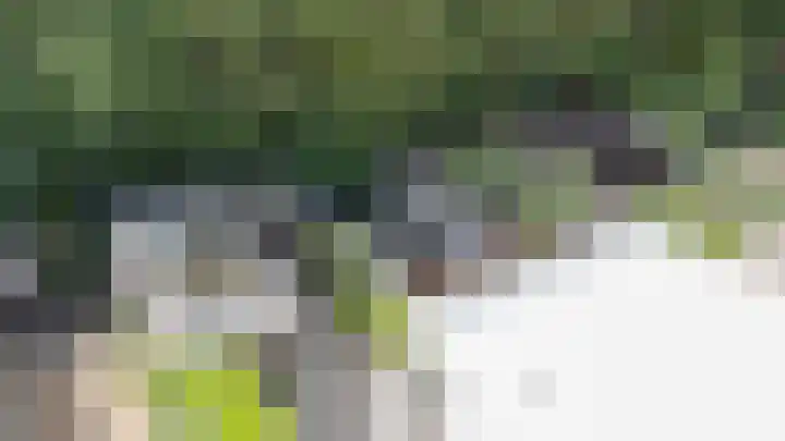 Vale Ouwelaan 162 't Harde thumbnail 40
