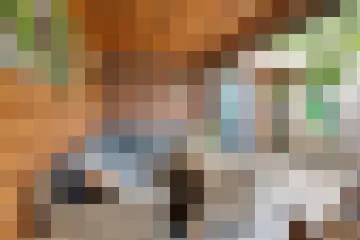 Vale Ouwelaan 162 't Harde thumbnail 41