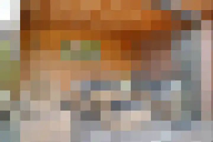 Vale Ouwelaan 162 't Harde thumbnail 42