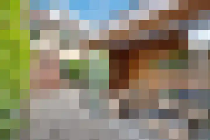 Vale Ouwelaan 162 't Harde thumbnail 43