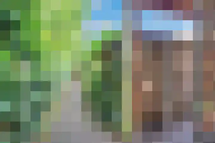Vale Ouwelaan 162 't Harde thumbnail 44