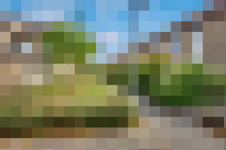 Vale Ouwelaan 162 't Harde thumbnail 46