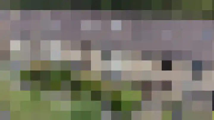 Vale Ouwelaan 162 't Harde thumbnail 48