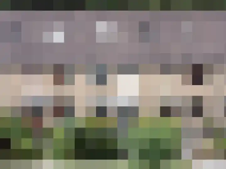 Vale Ouwelaan 162 't Harde thumbnail 49