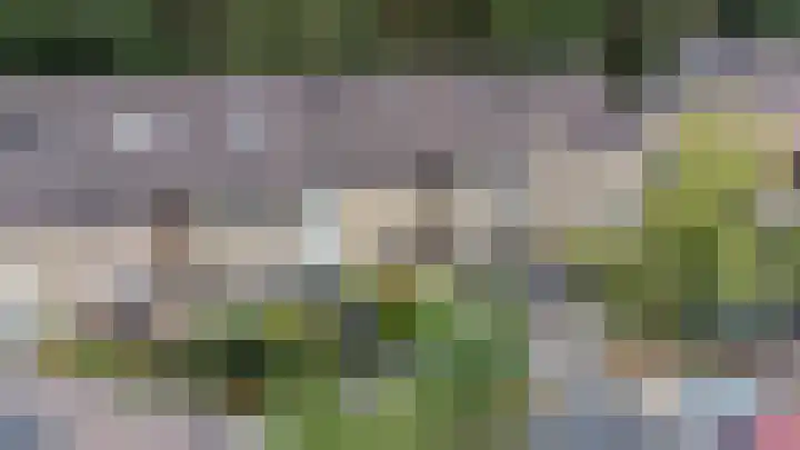 Vale Ouwelaan 162 't Harde thumbnail 50