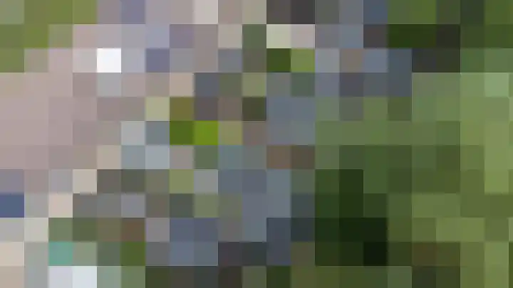 Vale Ouwelaan 162 't Harde thumbnail 52