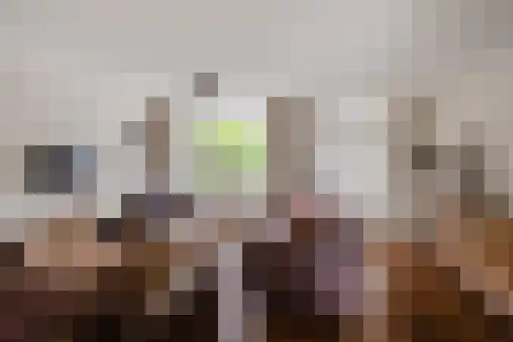 Vale Ouwelaan 162 't Harde thumbnail 6
