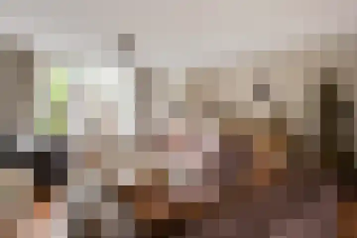 Vale Ouwelaan 162 't Harde thumbnail 7