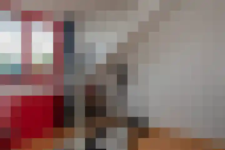 Vale Ouwelaan 172 't Harde thumbnail 26