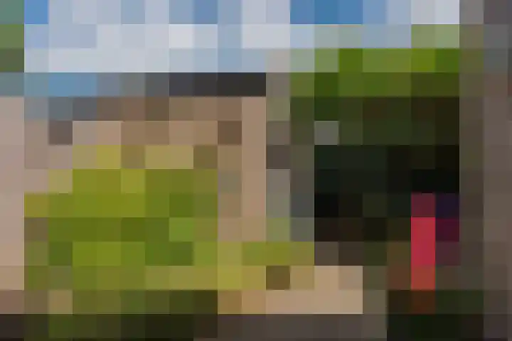 Vale Ouwelaan 172 't Harde thumbnail 29