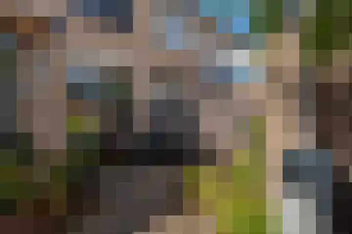 Vale Ouwelaan 172 't Harde thumbnail 31