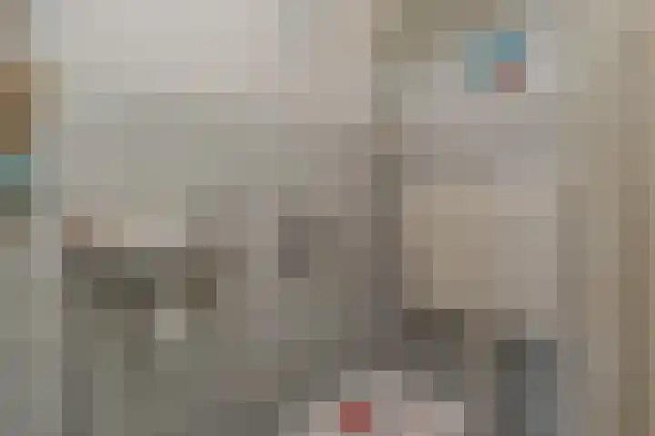 Vale Ouwelaan 172 't Harde thumbnail 5