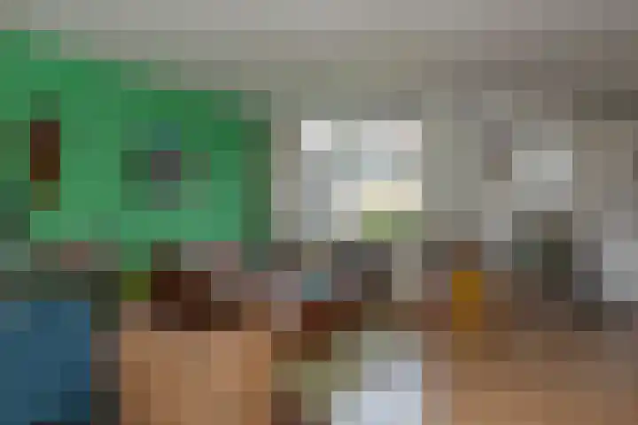 Vale Ouwelaan 172 't Harde thumbnail 6