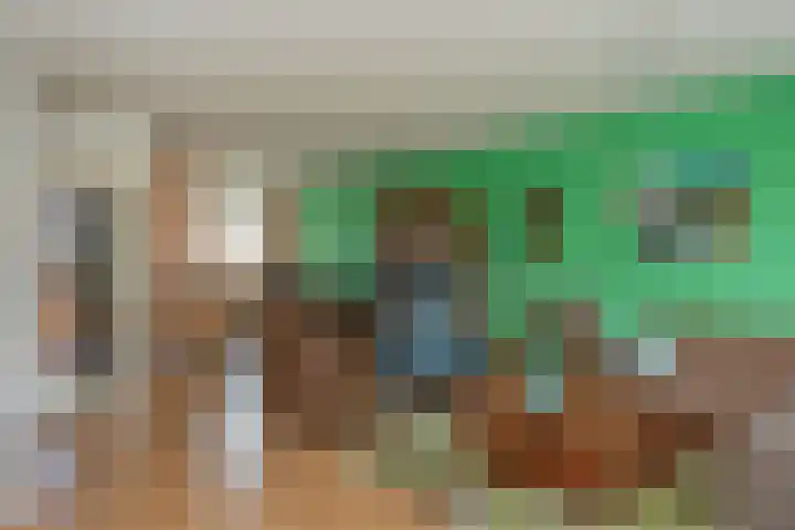 Vale Ouwelaan 172 't Harde thumbnail 9