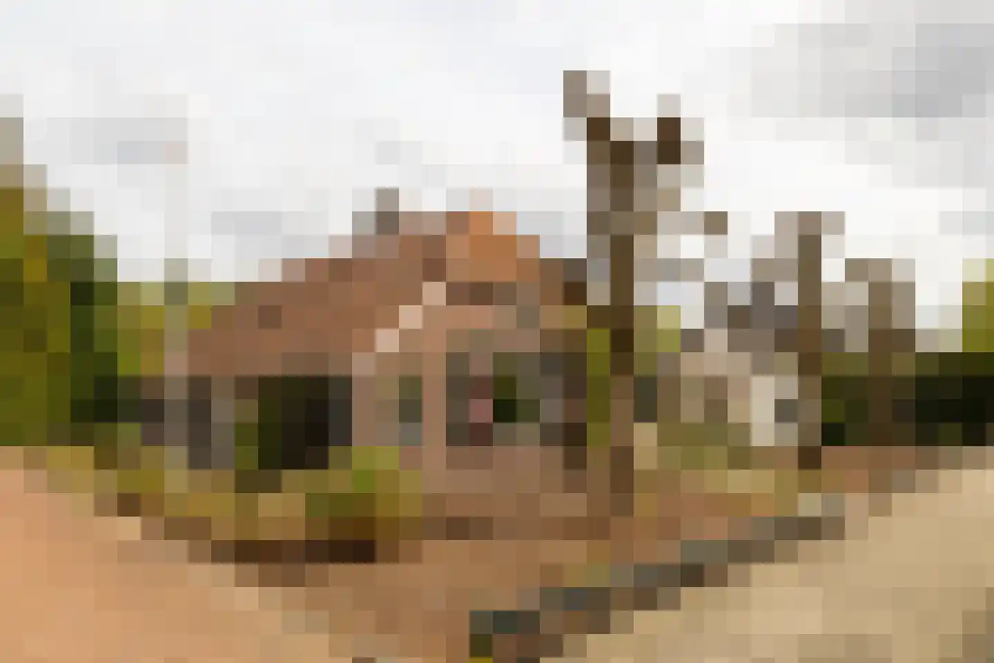 Vale Ouwelaan 194 't Harde
