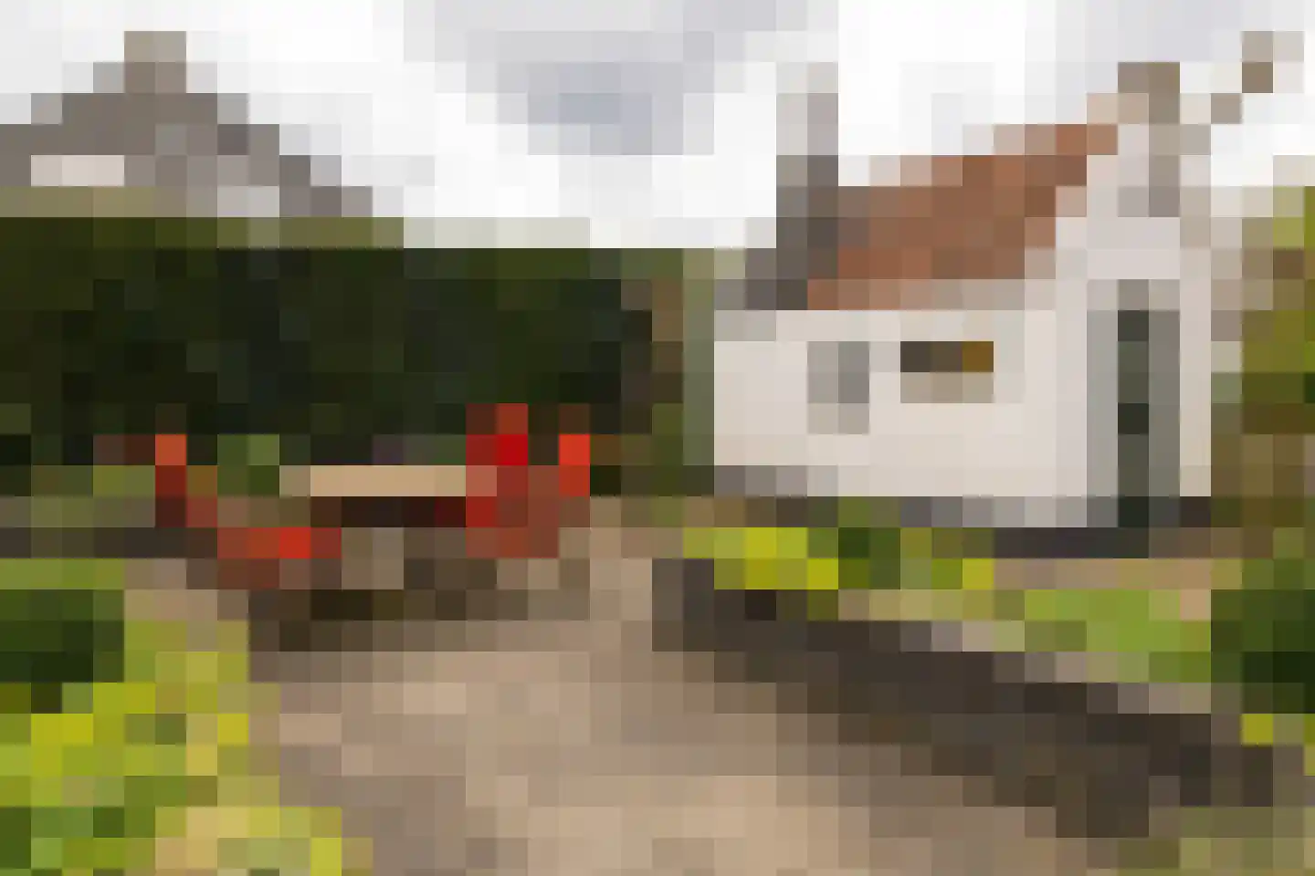 Vale Ouwelaan 194 't Harde thumbnail 10