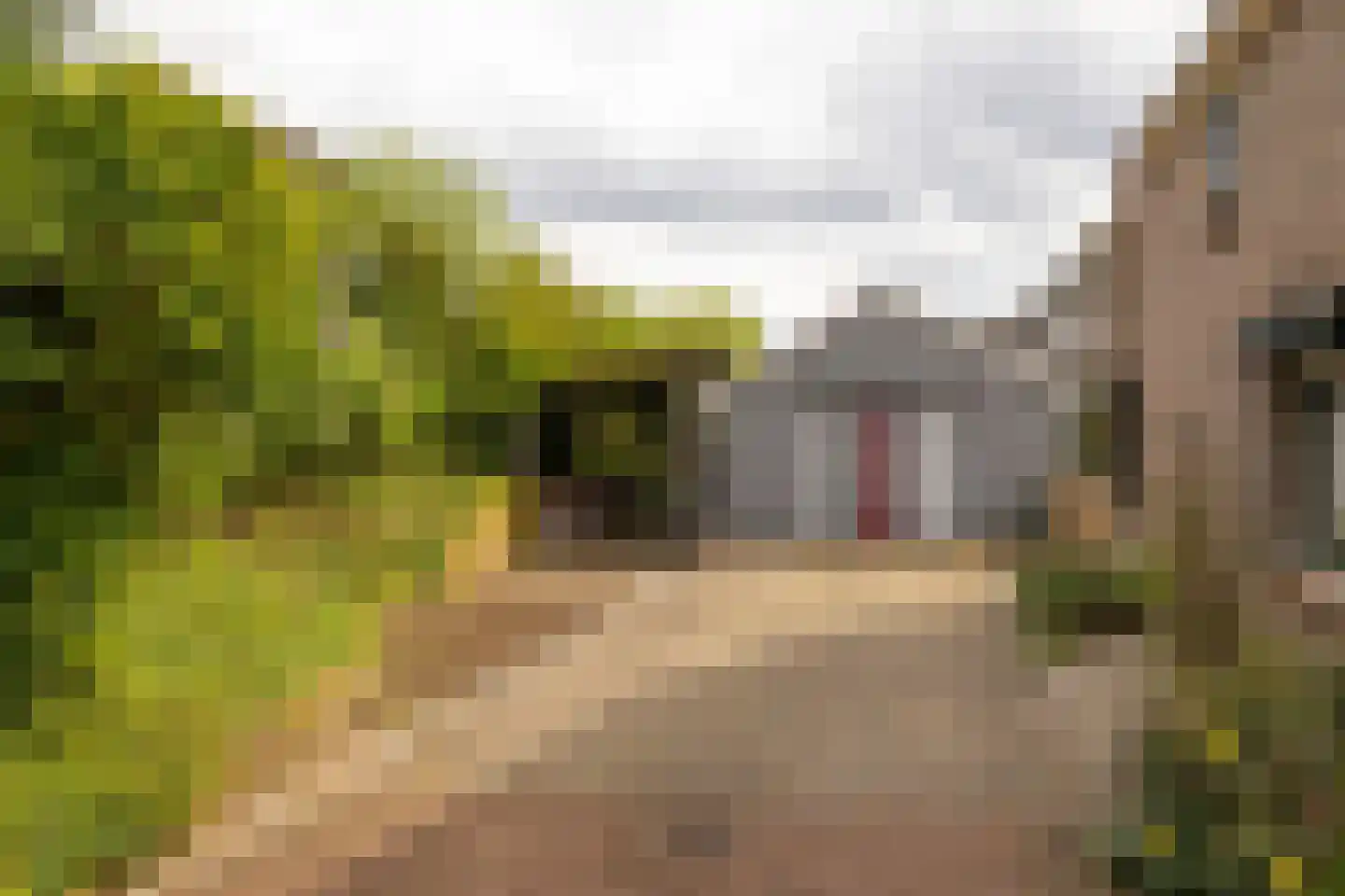 Vale Ouwelaan 194 't Harde thumbnail 12