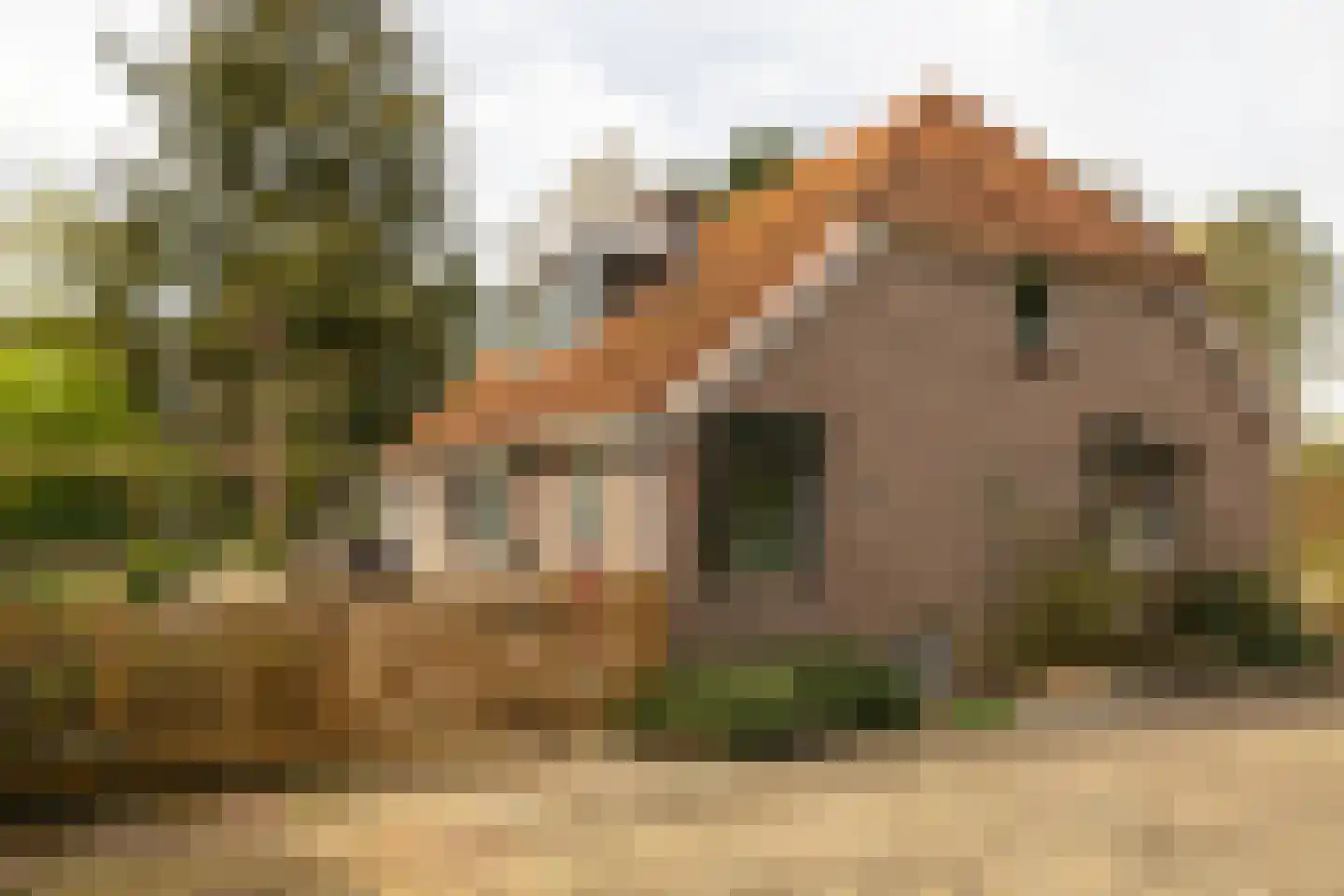 Vale Ouwelaan 194 't Harde thumbnail 13