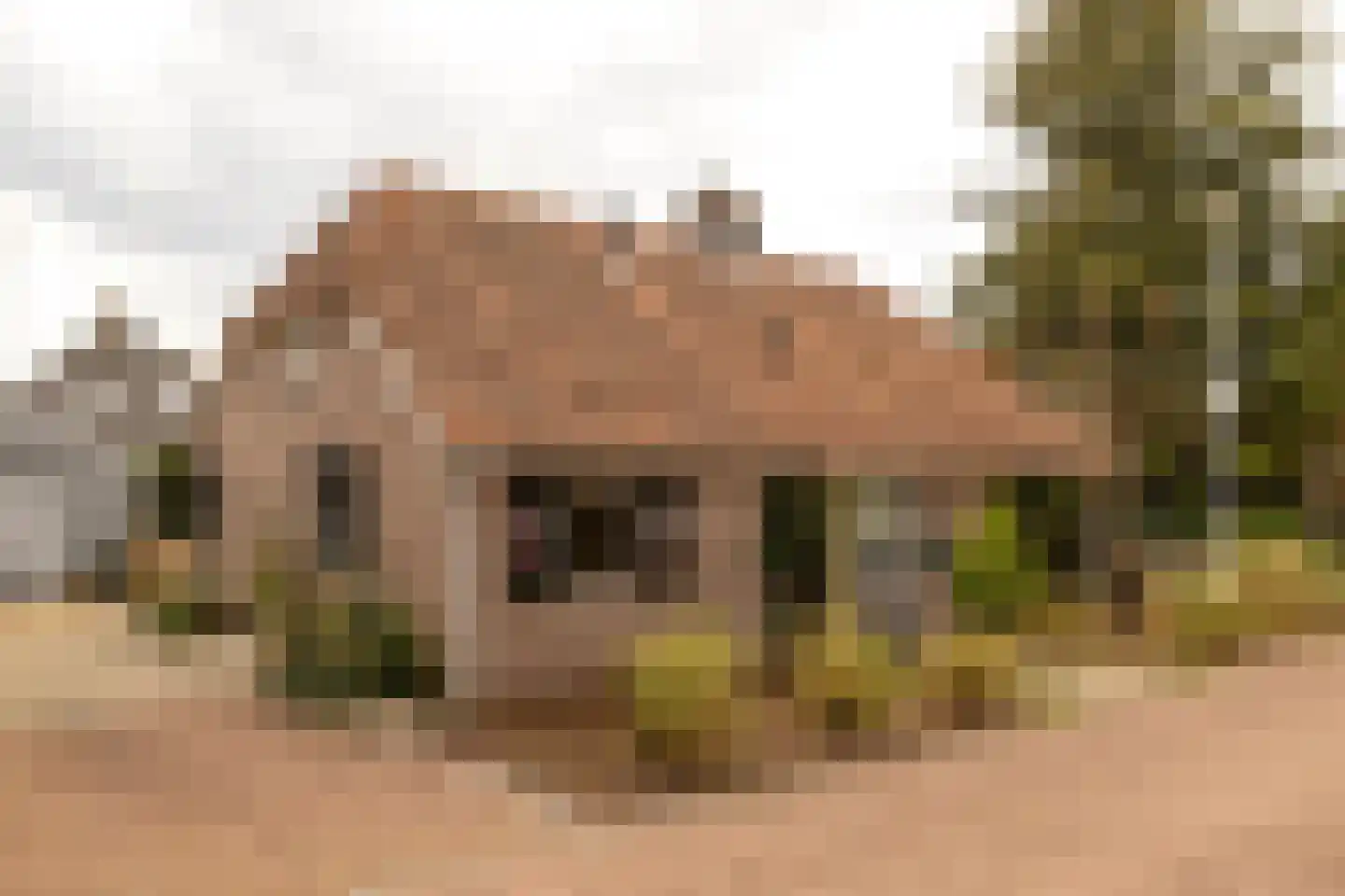 Vale Ouwelaan 194 't Harde thumbnail 14