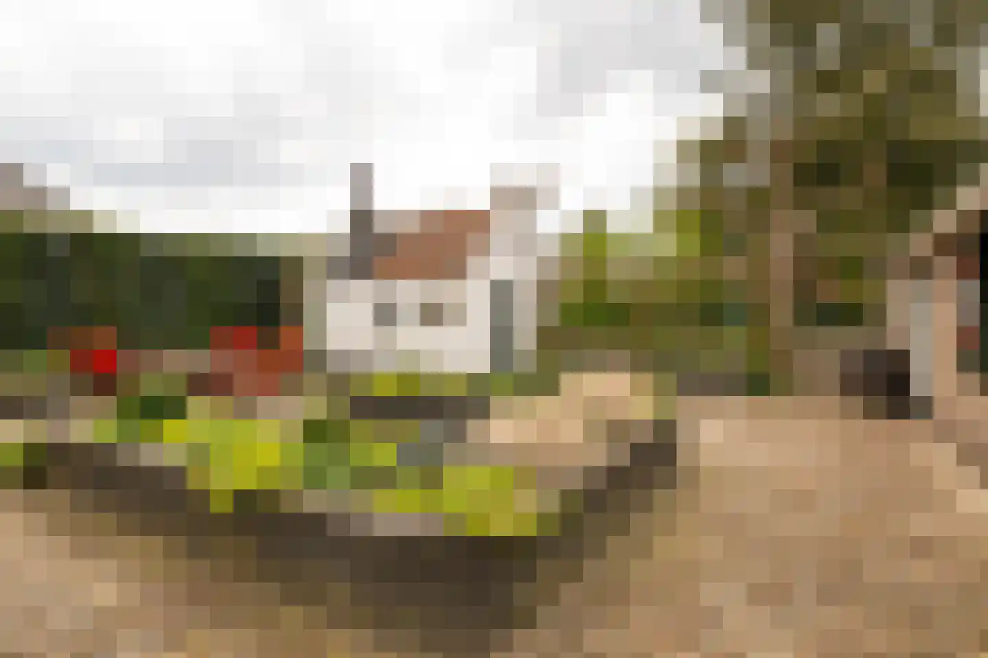 Vale Ouwelaan 194 't Harde foto 2