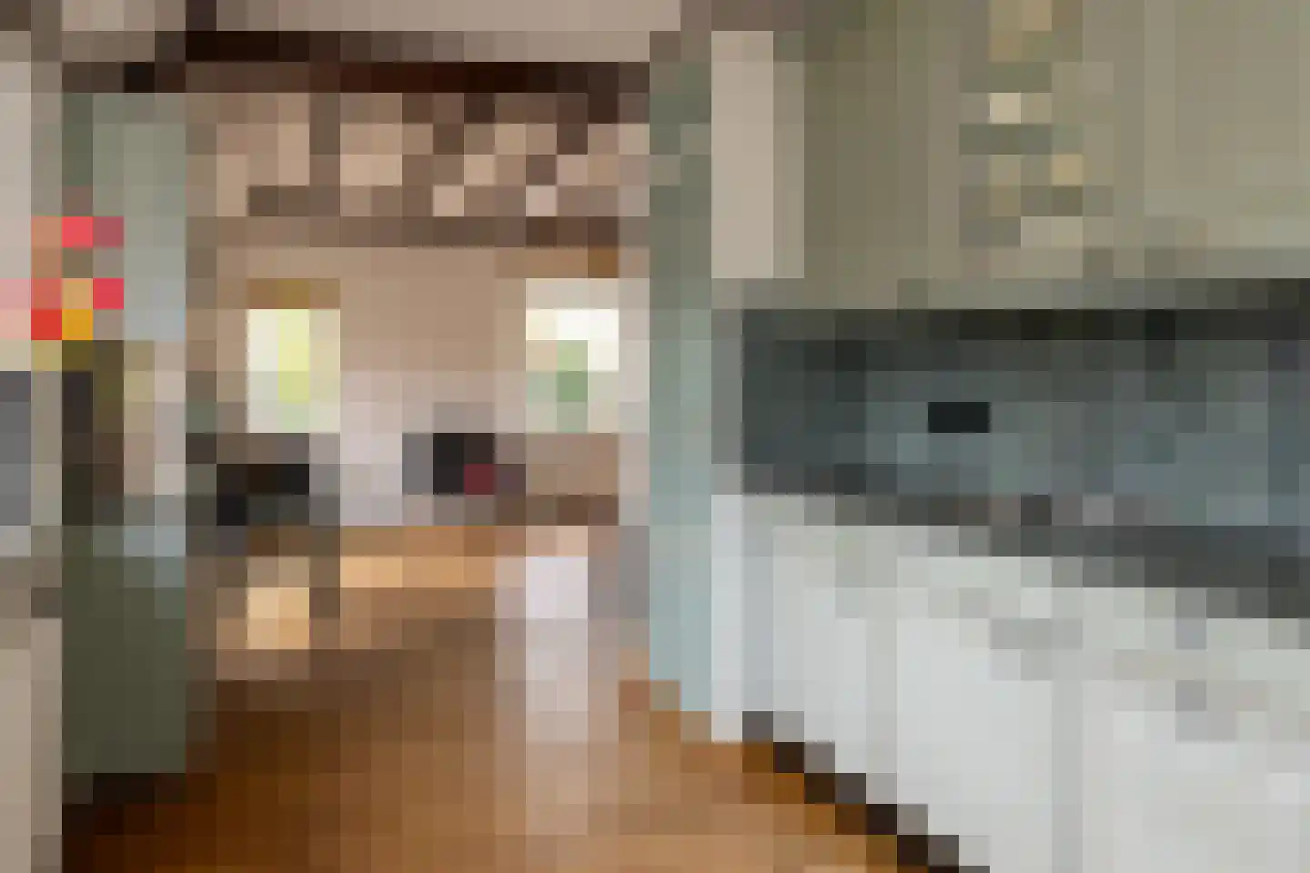 Vale Ouwelaan 194 't Harde thumbnail 24