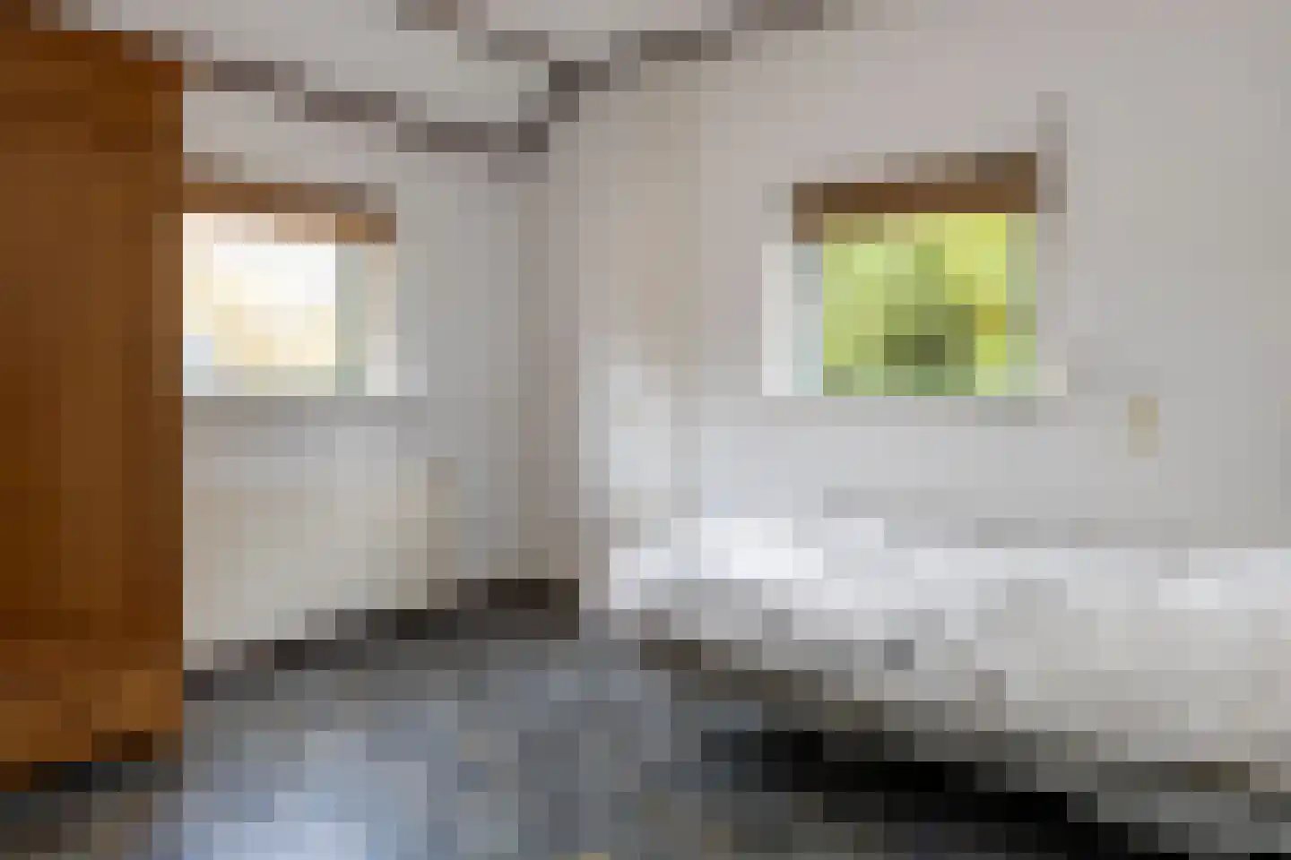 Vale Ouwelaan 194 't Harde thumbnail 27