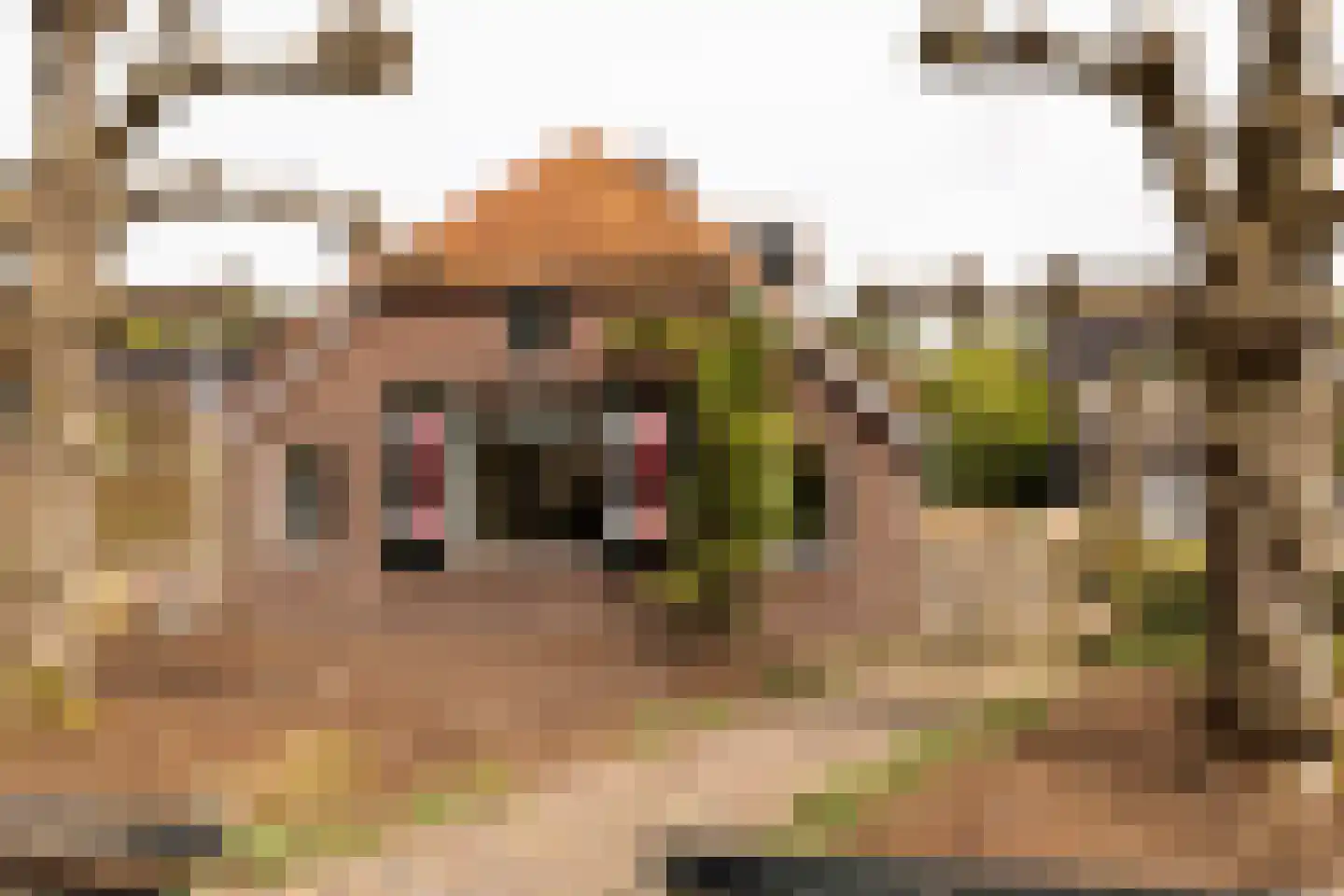 Vale Ouwelaan 194 't Harde thumbnail 37
