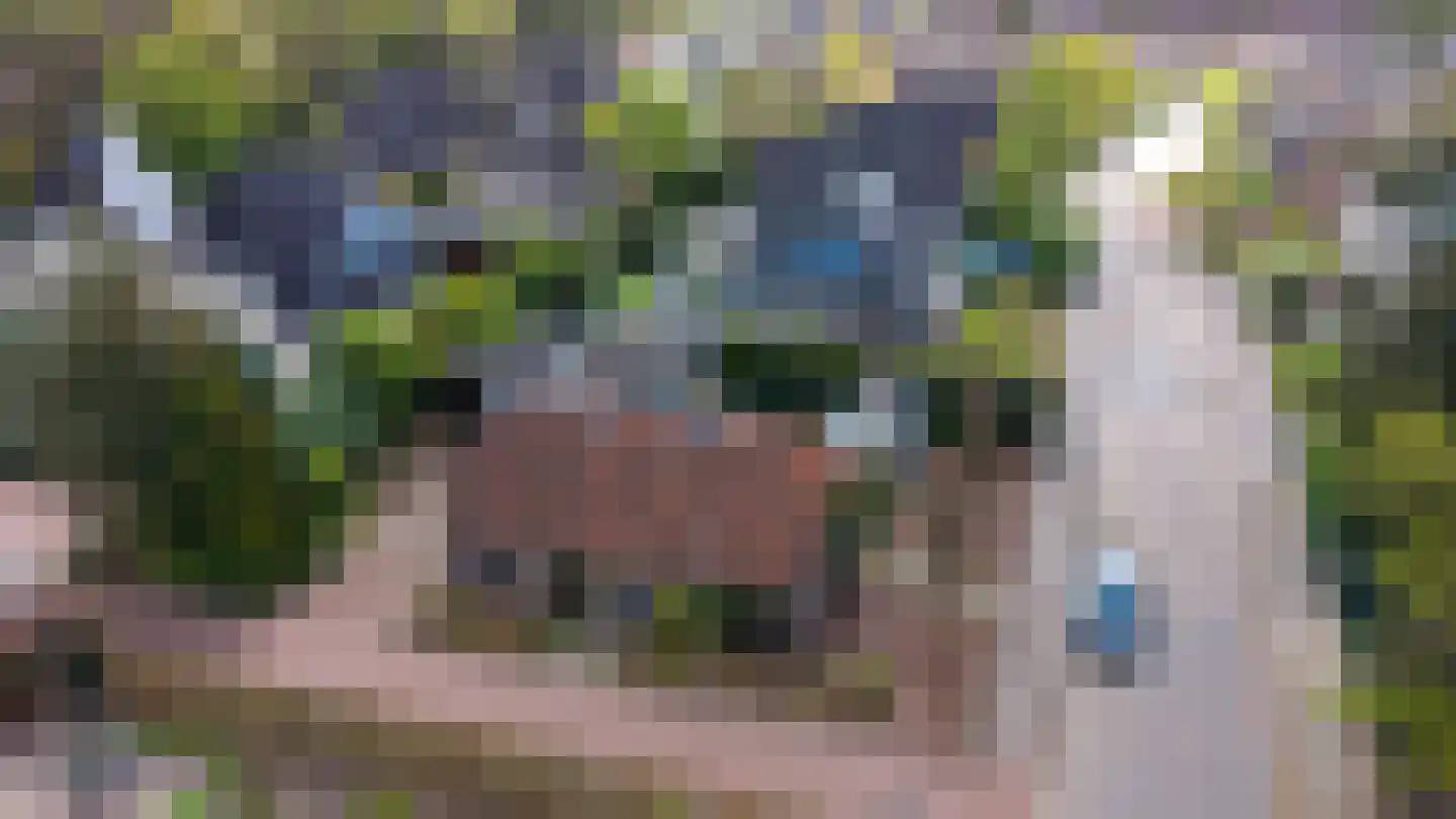 Vale Ouwelaan 194 't Harde thumbnail 4