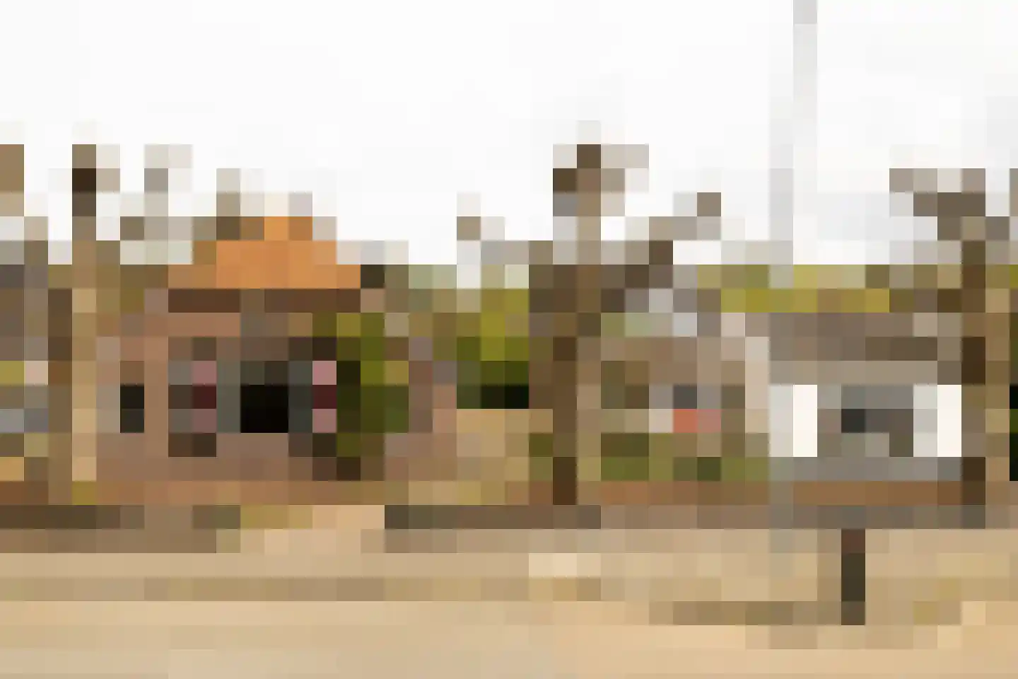 Vale Ouwelaan 194 't Harde thumbnail 5
