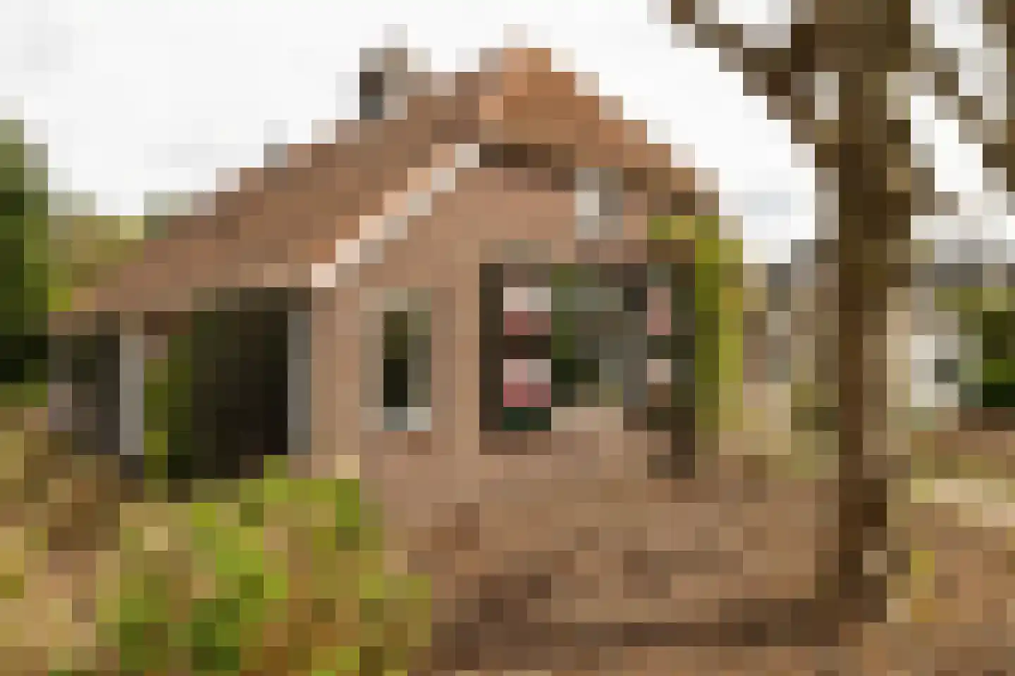 Vale Ouwelaan 194 't Harde thumbnail 6