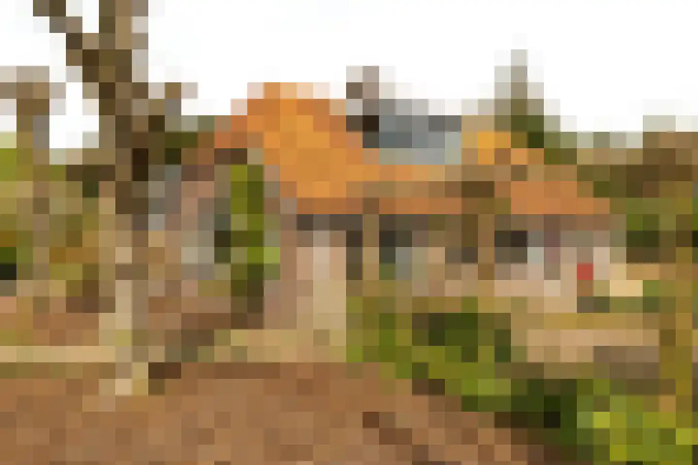 Vale Ouwelaan 194 't Harde thumbnail 7