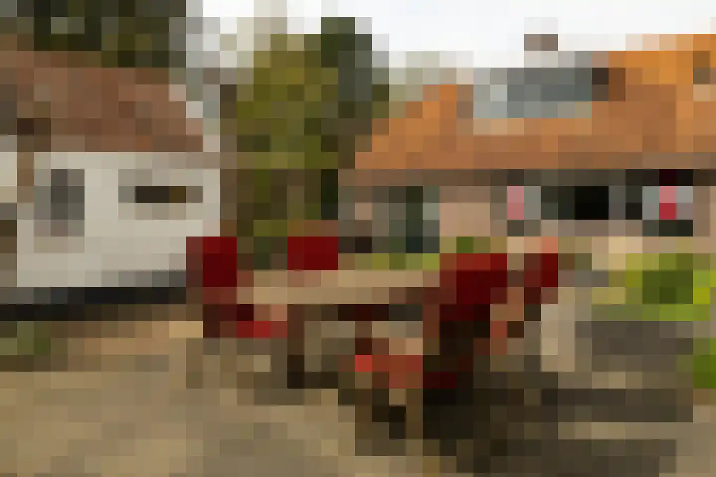 Vale Ouwelaan 194 't Harde thumbnail 9