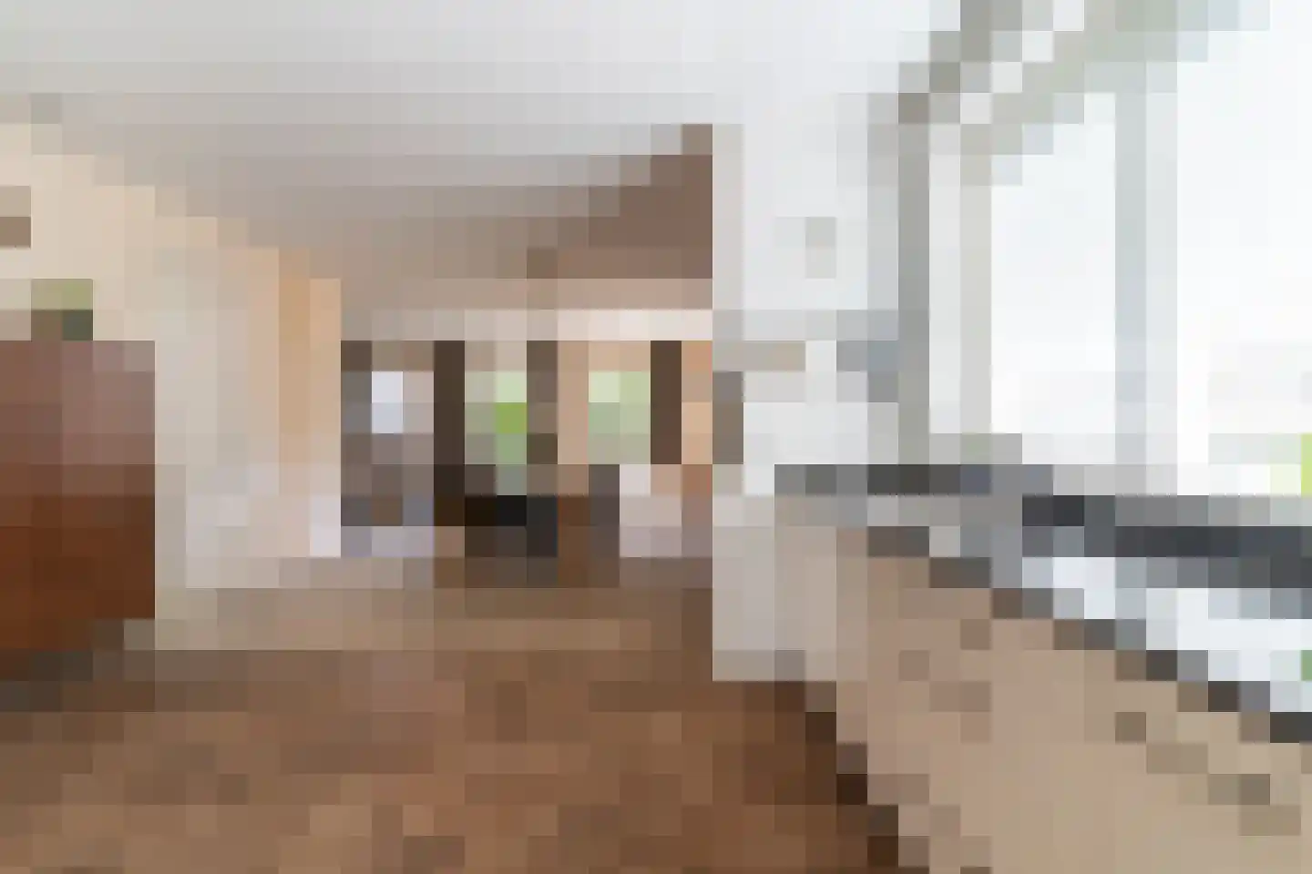 Vale Ouwepad 8 't Harde thumbnail 21