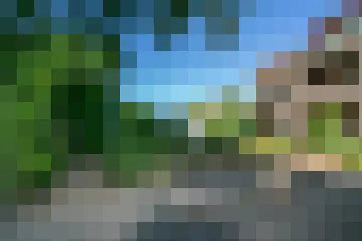 Valenakkerweg 8 A Weert thumbnail 36