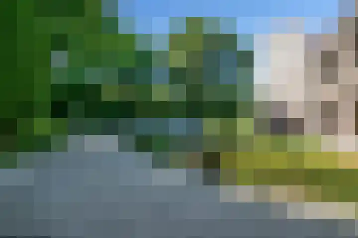 Valenakkerweg 8 A Weert thumbnail 37