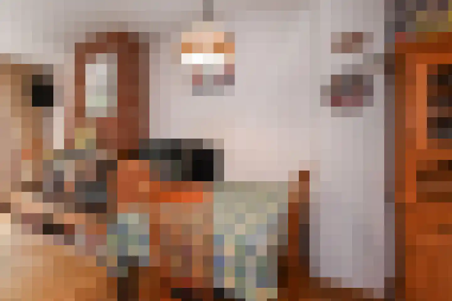 Valenberg 15 Zoetermeer thumbnail 14