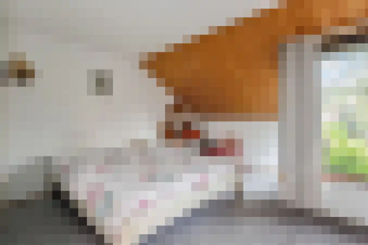 Valenberg 15 Zoetermeer thumbnail 19