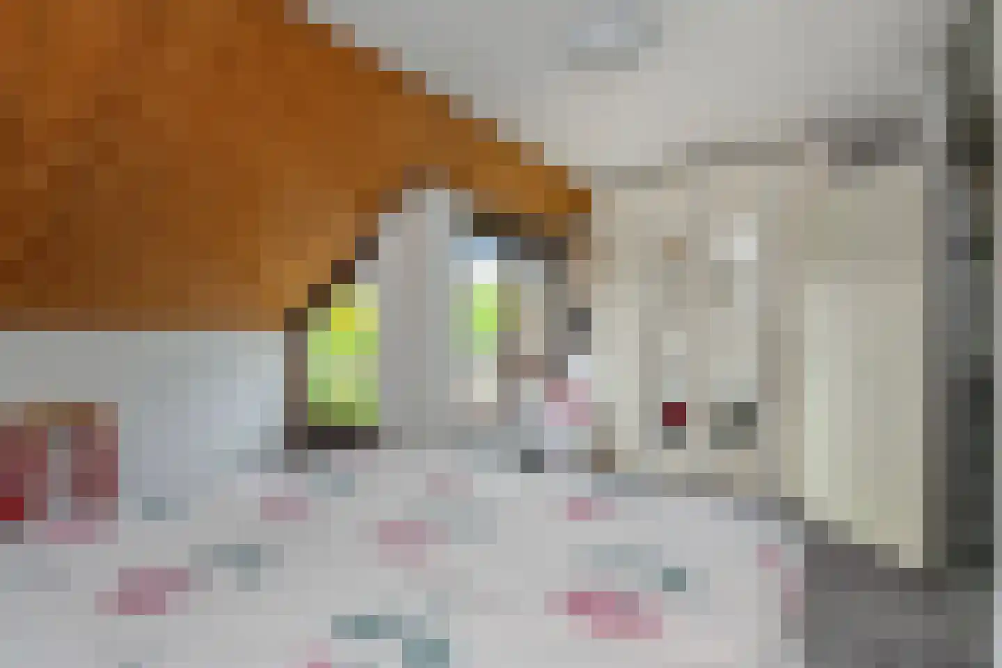 Valenberg 15 Zoetermeer thumbnail 20