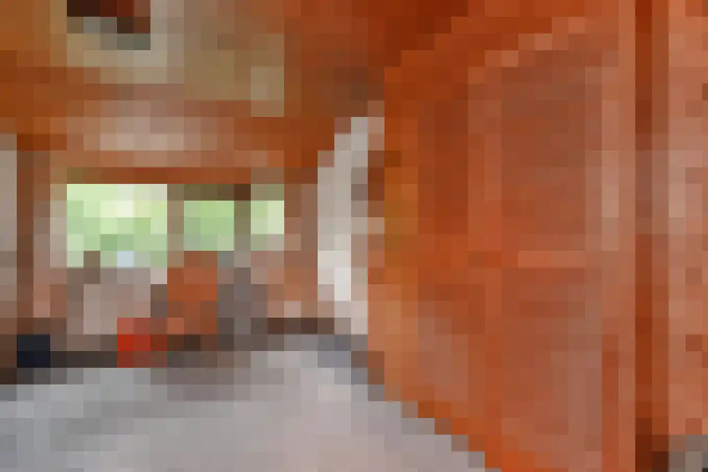 Valenberg 15 Zoetermeer thumbnail 36