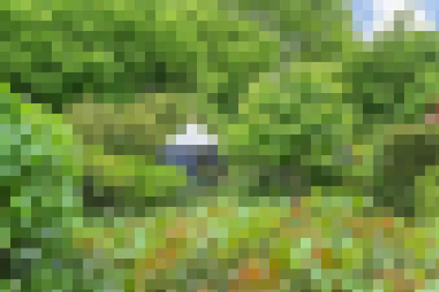 Valenberg 15 Zoetermeer thumbnail 40
