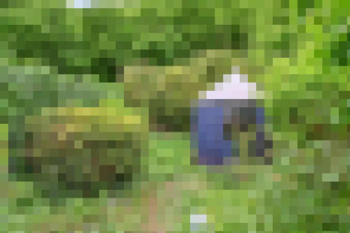 Valenberg 15 Zoetermeer thumbnail 41