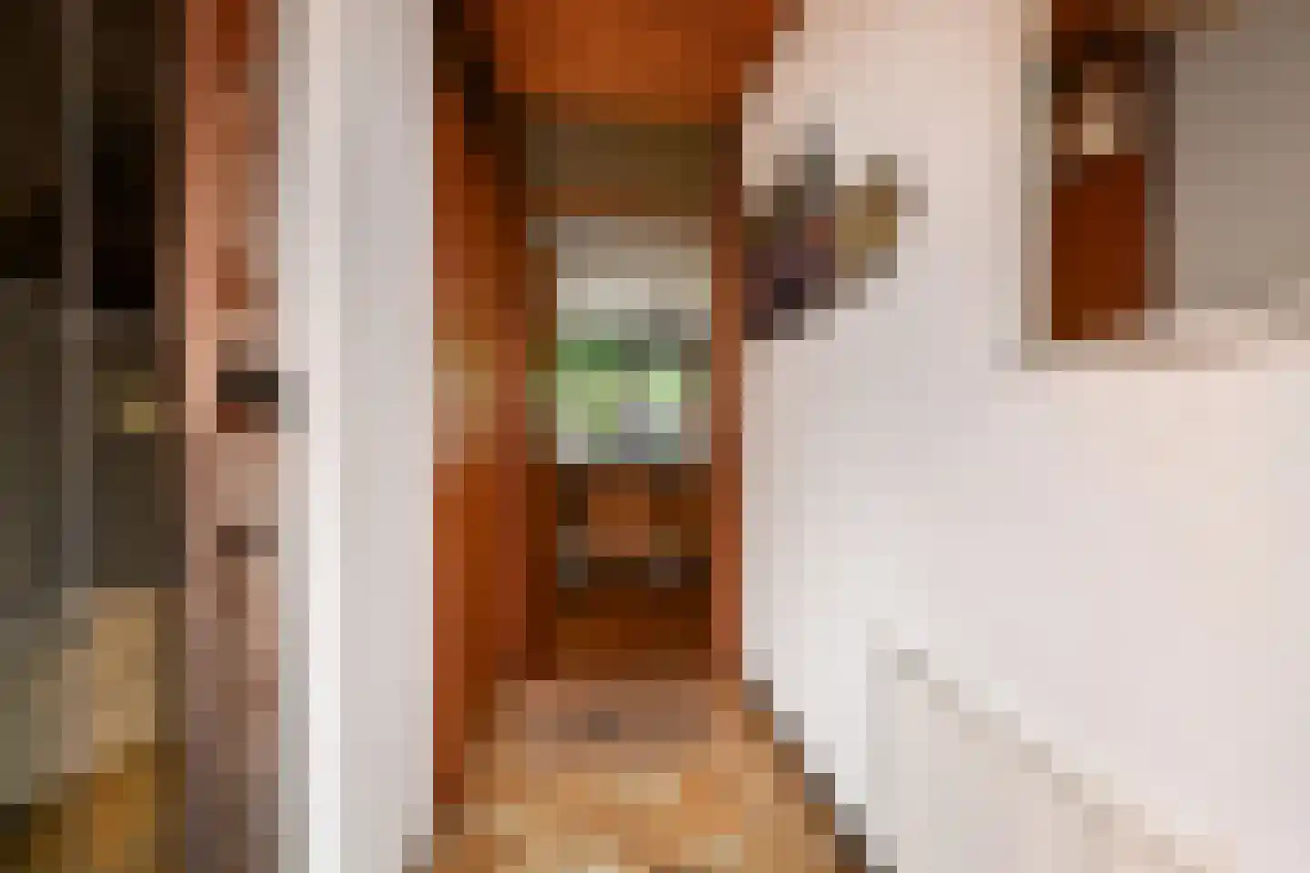 Valenberg 15 Zoetermeer thumbnail 6
