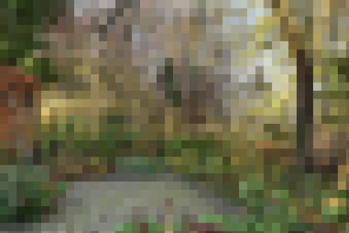 Valenberg 22 Zoetermeer thumbnail 17