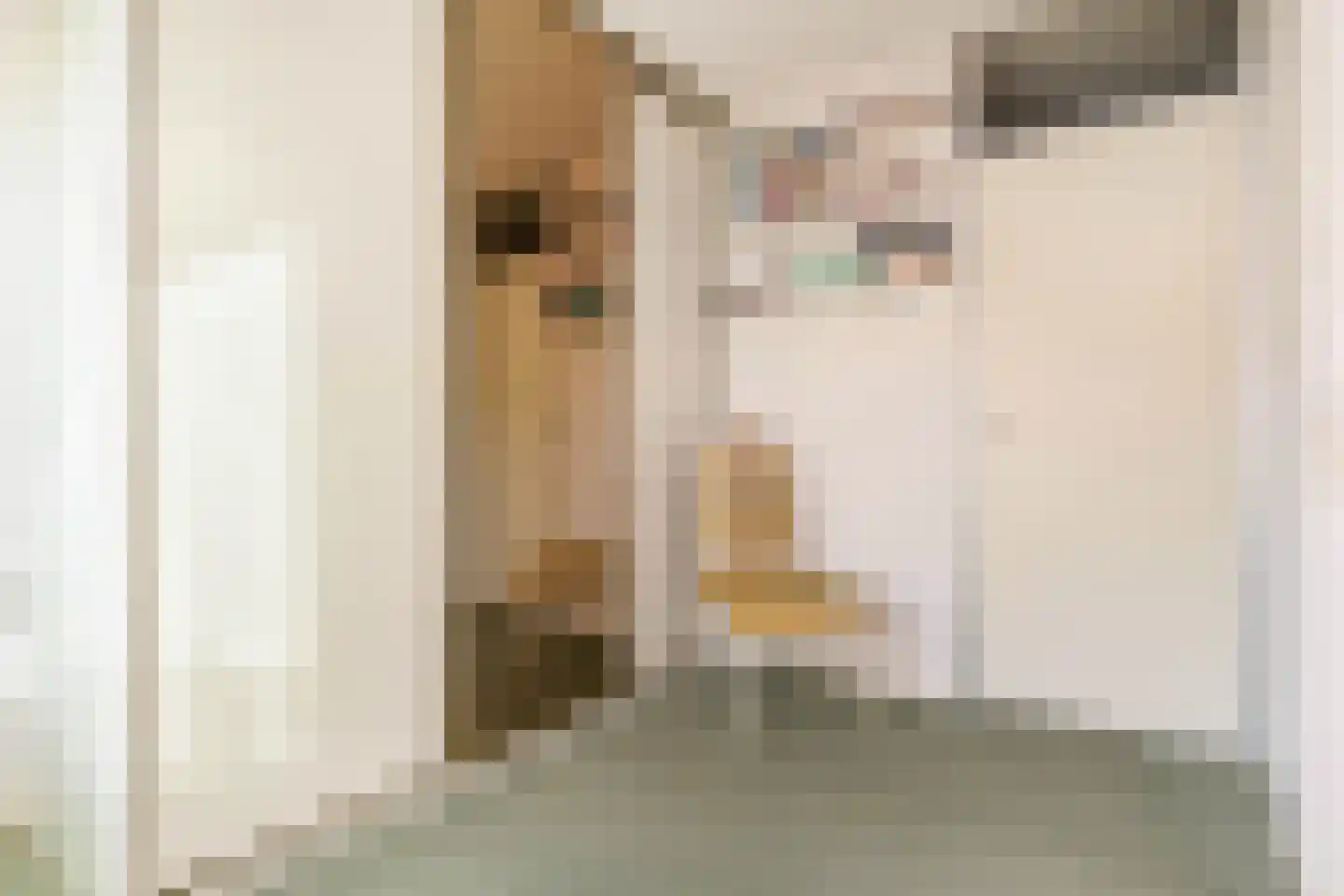 Valenberg 22 Zoetermeer thumbnail 35