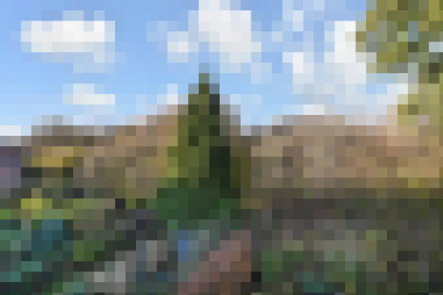 Valenberg 22 Zoetermeer thumbnail 37