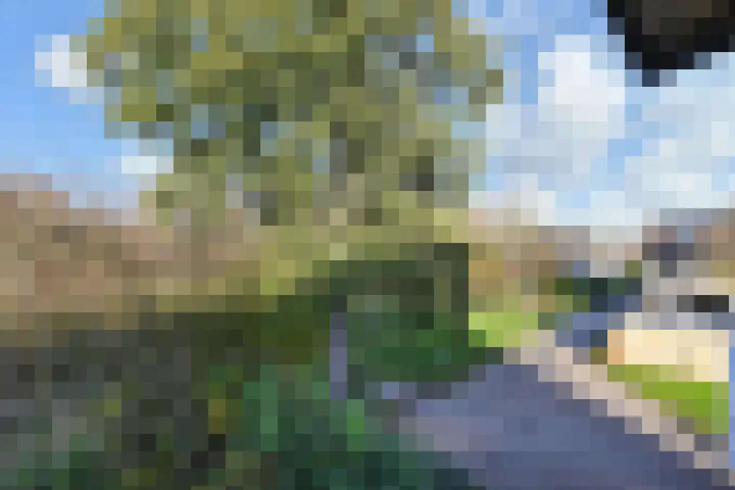 Valenberg 22 Zoetermeer thumbnail 40